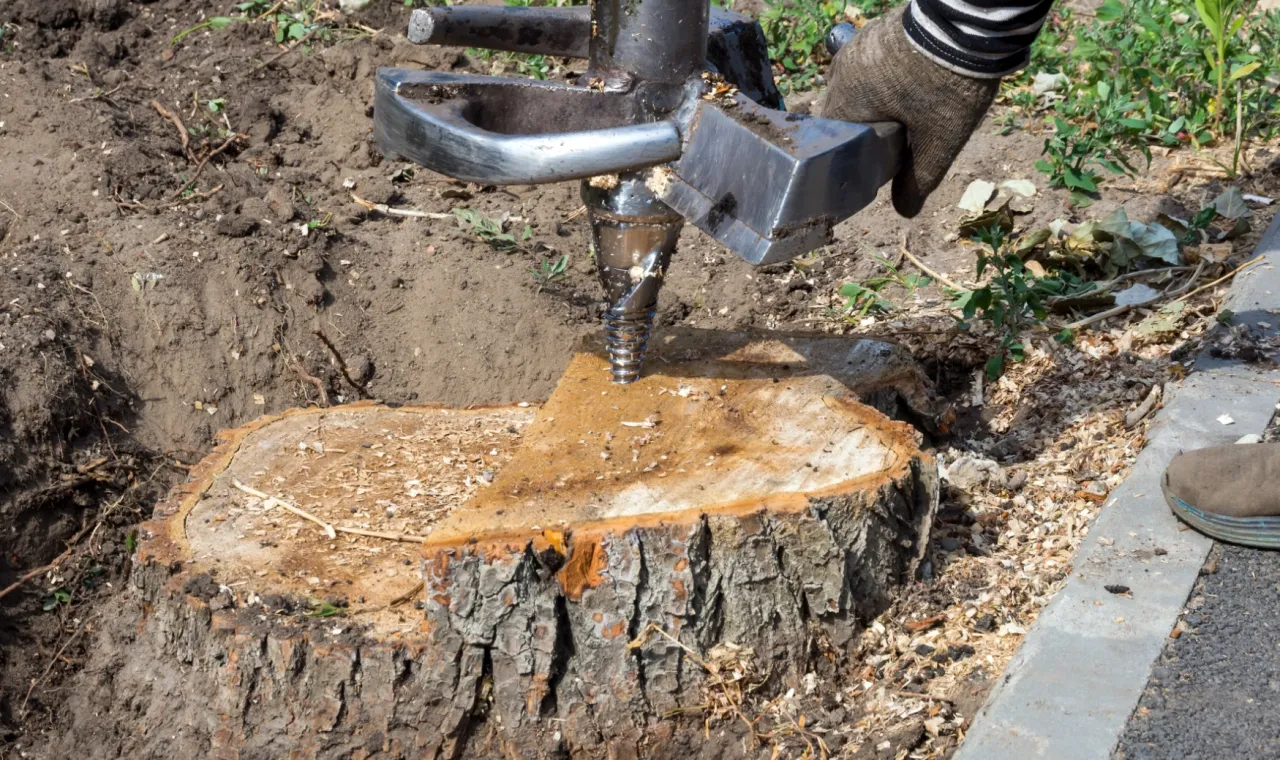 Präzises Fräsen von Wurzeln und Baumstumpfen in Lippstadt