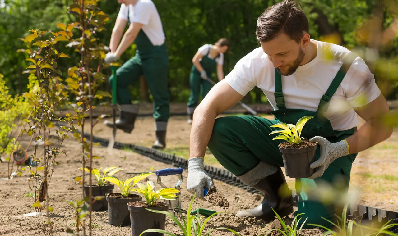 Pflege für Garten, Park und Außenanlage in Lippstadt